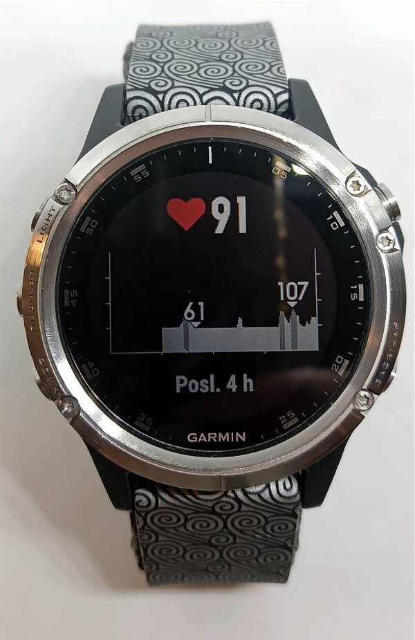 Garmin Fénix 5 Plus silver - black REPAS