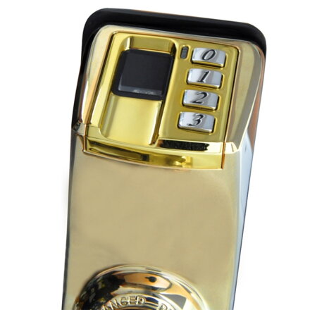 ADEL DIY-3398 biometrický digitální zámek na otisk prstu, zlatá